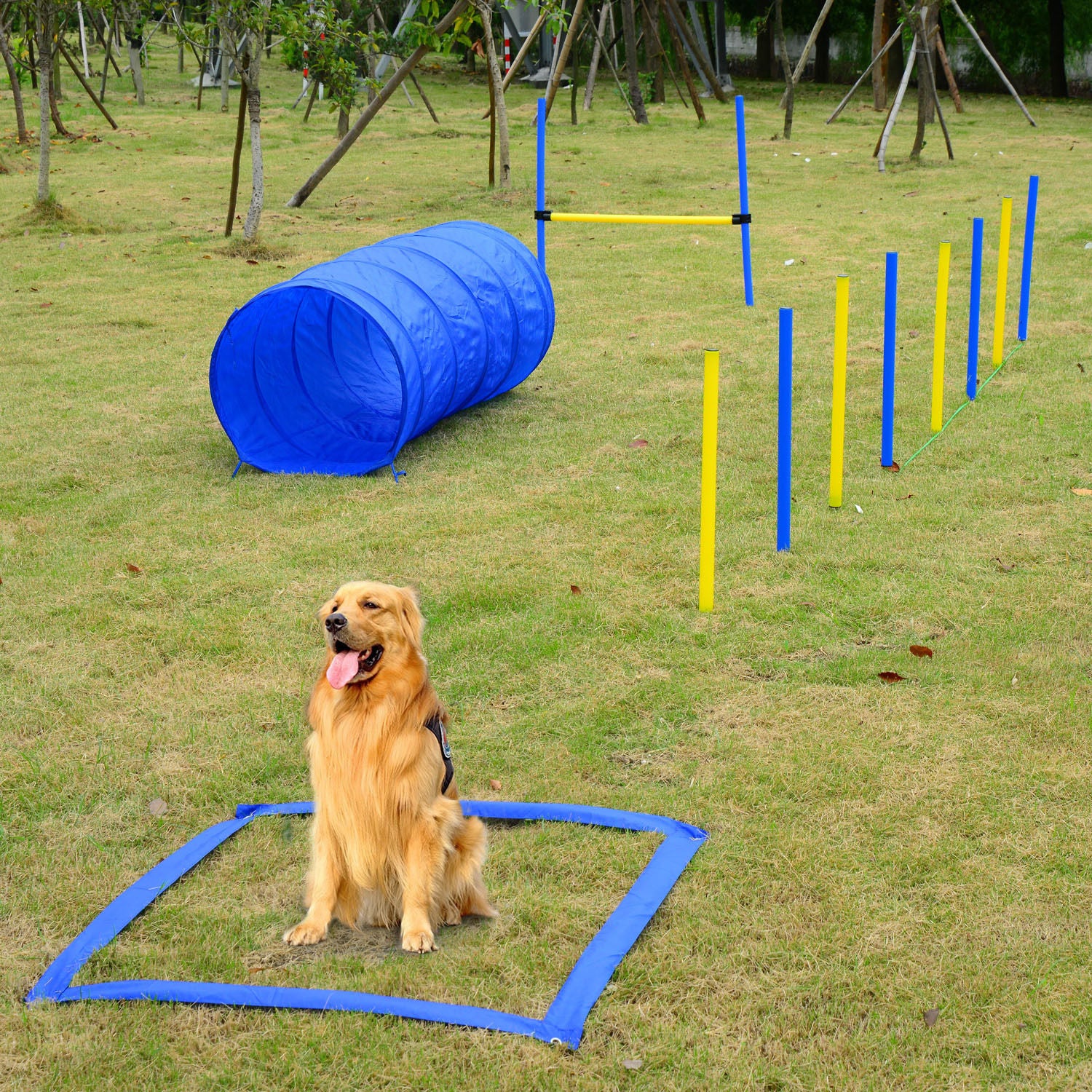 Blue AgiliArena tunnel in Competition Dog Agility Obstacle Course Set