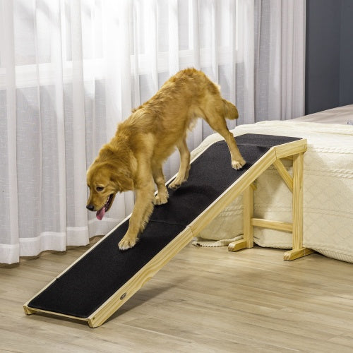 Golden retriever climbs LoftPath ramp with non-slip carpet and wood frame