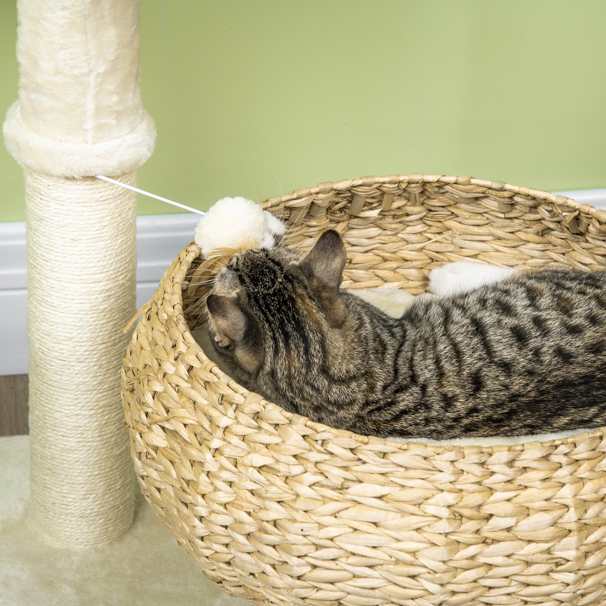 Tabby cat lounges in BasketClimb 28’’ elevated wicker bed with sisal post