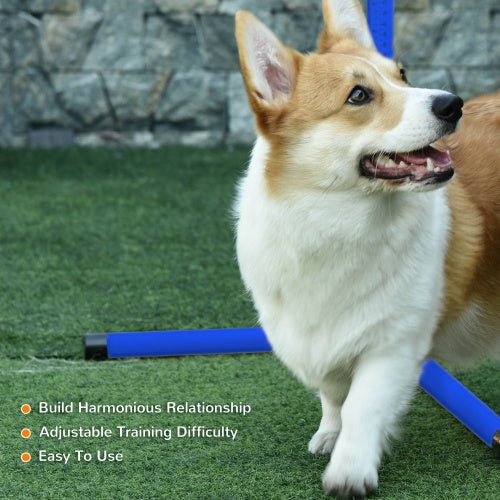 Happy tan and white corgi with perky ears using AgiliJump agility poles on turf