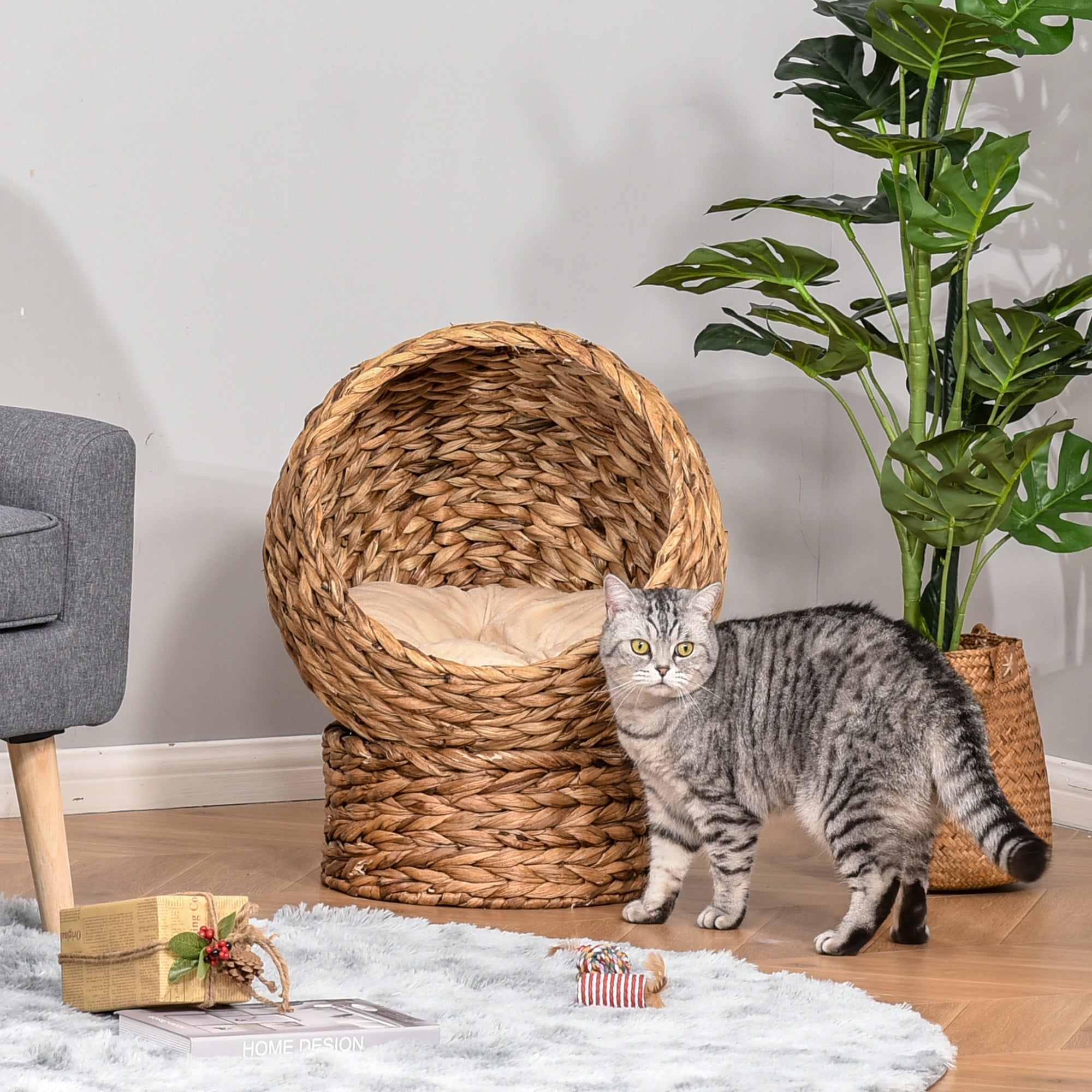 EggNest Handwoven elevated wicker cat bed with soft beige cushion