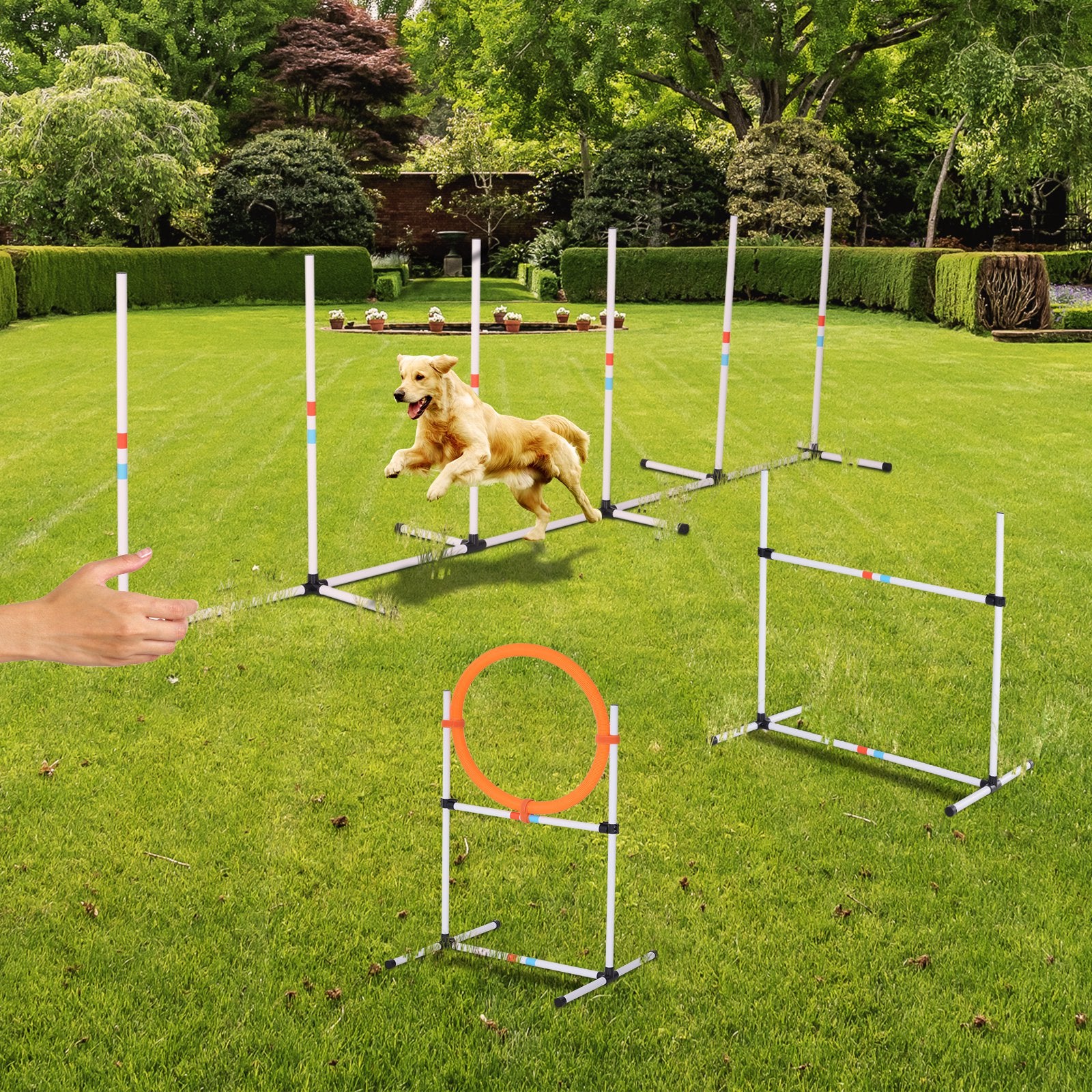 Golden retriever leaps through AgiliLoop orange hoop in grassy yard