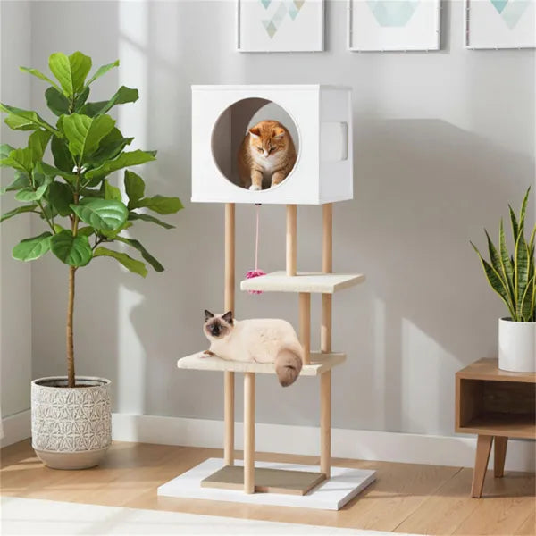 ClimbNest Multi-Level Cat Tree with orange tabby on white wood platform