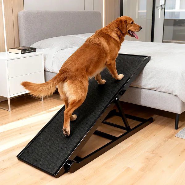 StepGlide black textured dog ramp with sturdy metal frame and safety rails