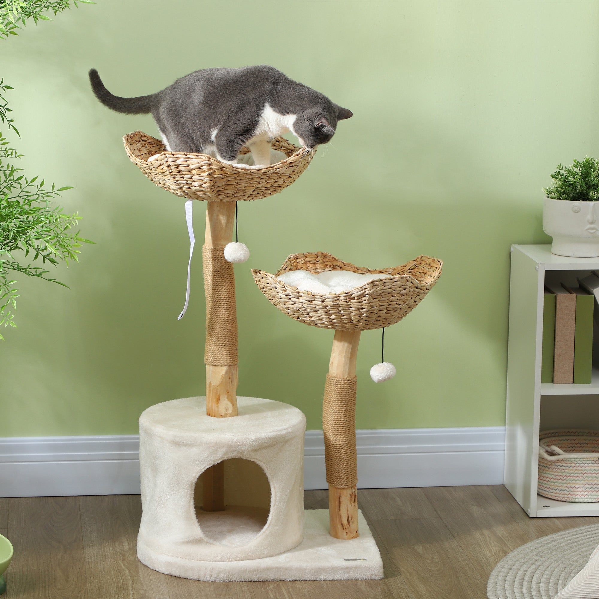 Gray white cat on SafeWood 37in cat tree hammock perch scratching post