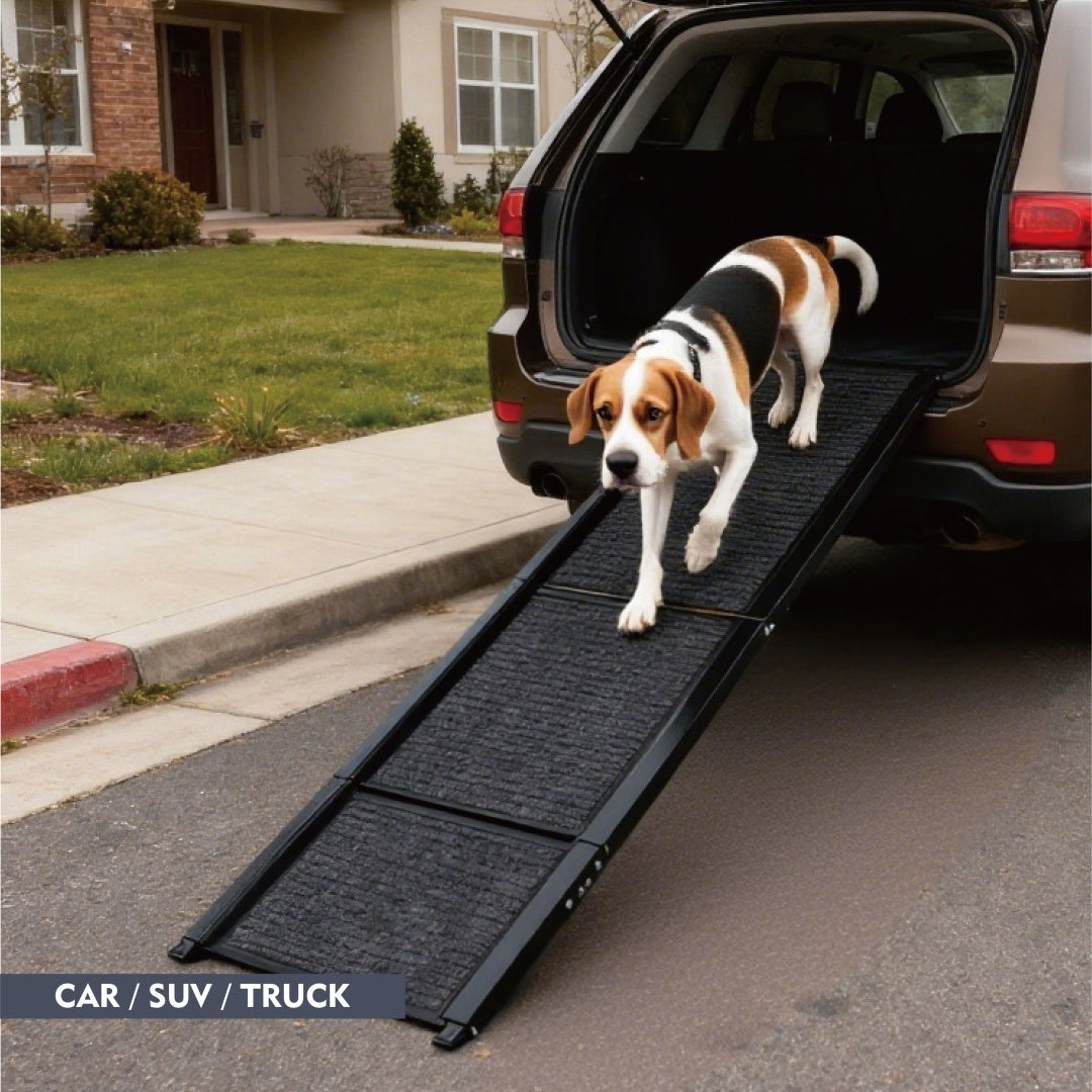 FlexStride 65’’ black textured folding dog ramp with metal frame