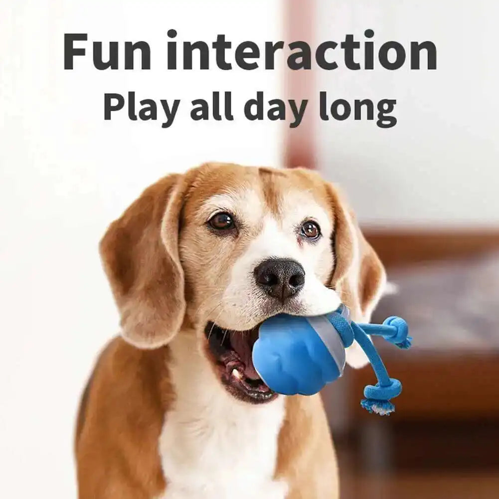 SmartRoll™ Interactive Dog Toy
