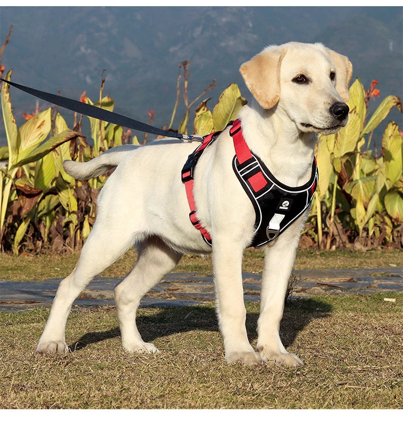 TrailGuard™ Adjustable Dog Harness
