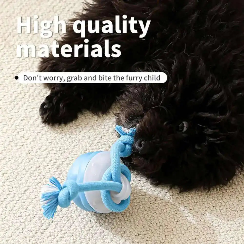 SmartRoll™ Interactive Dog Toy