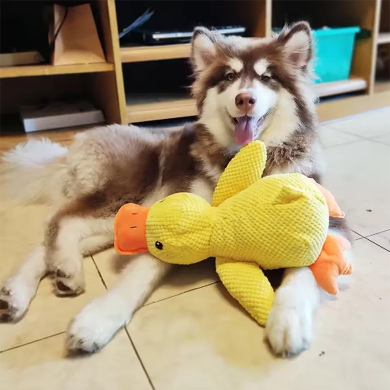 CalmDuck™ Interactive Calming Dog Toy