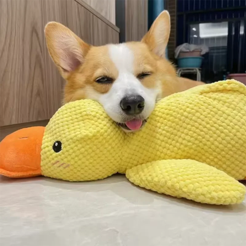 CalmDuck™ Interactive Calming Dog Toy