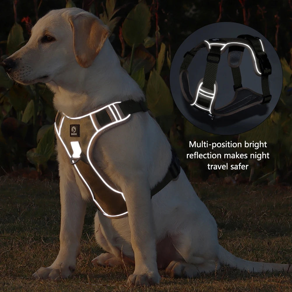 TrailGuard™ Adjustable Dog Harness