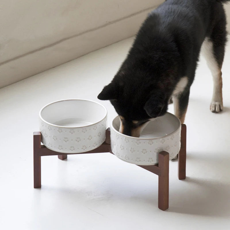 DualRise™ Elevated Dog Bowl Set