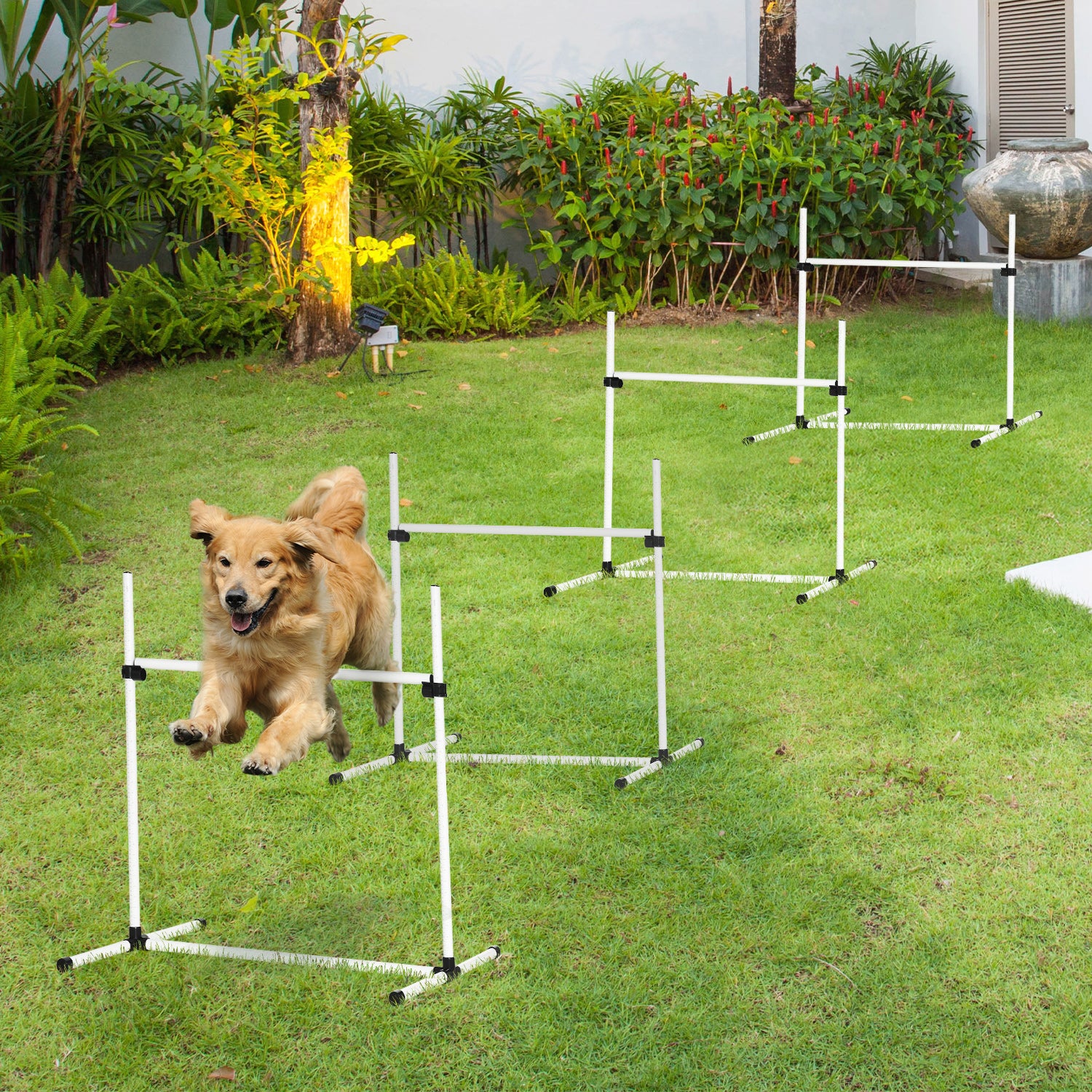 AgiliJump™ 4-Piece Adjustable Dog Agility Training Set