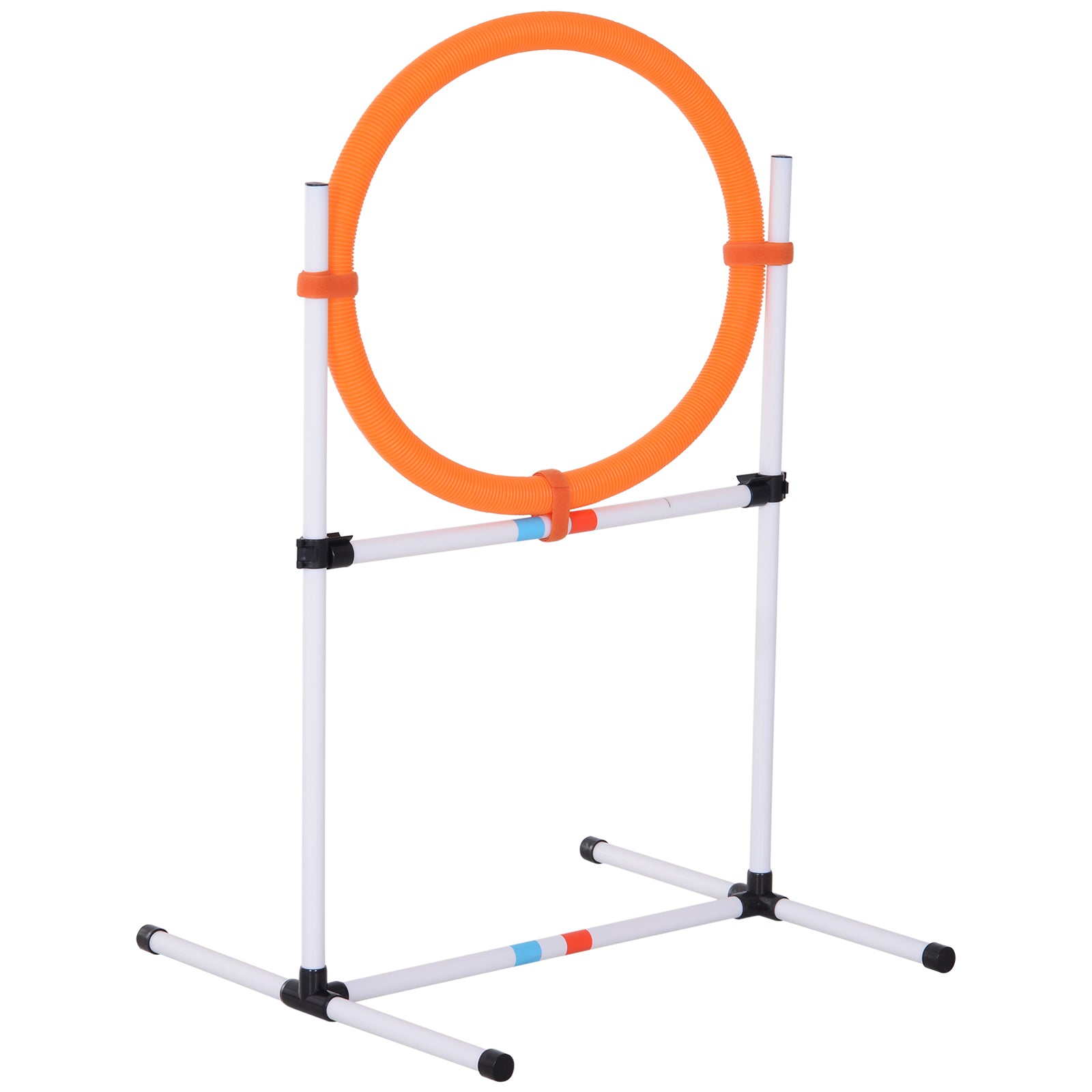AgiliLoop Portable Dog Agility Jump Ring on white frame