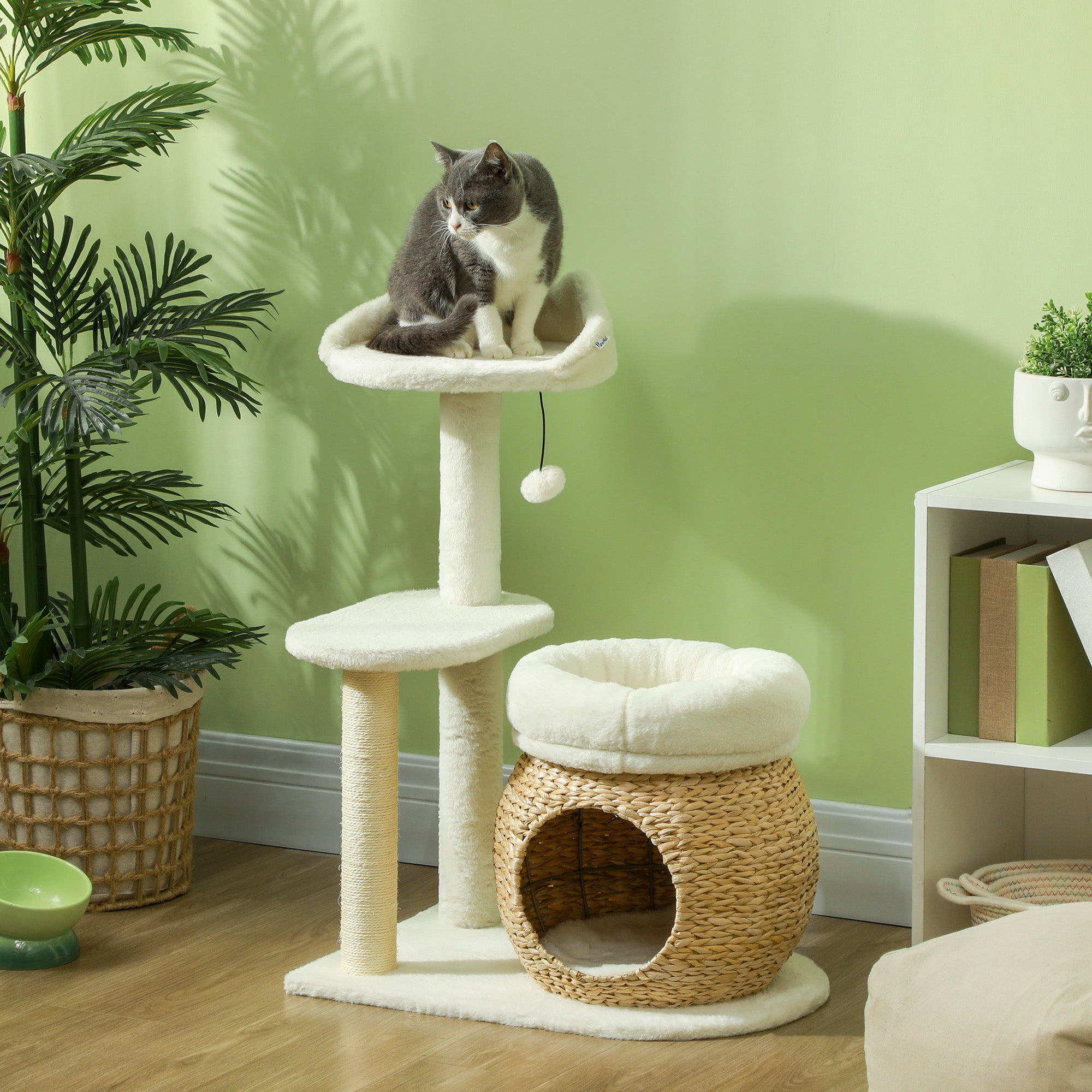 Gray white cat on SoftClimb 31’’ cream cat tree tower with condo beds