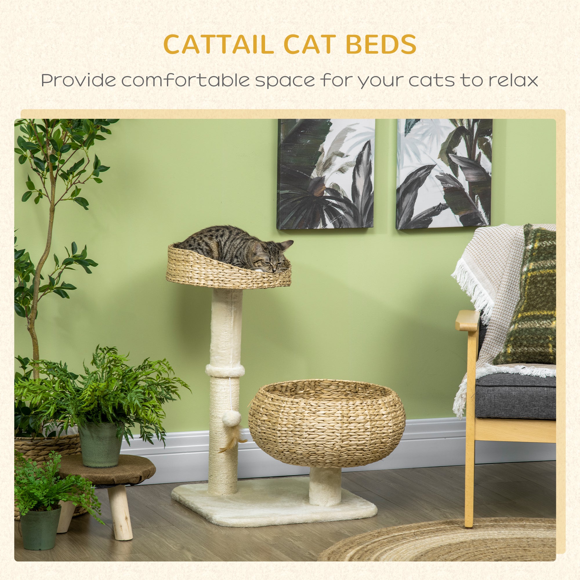 BasketClimb 28’’ elevated rattan cat bed with sisal post, cozy beige weave