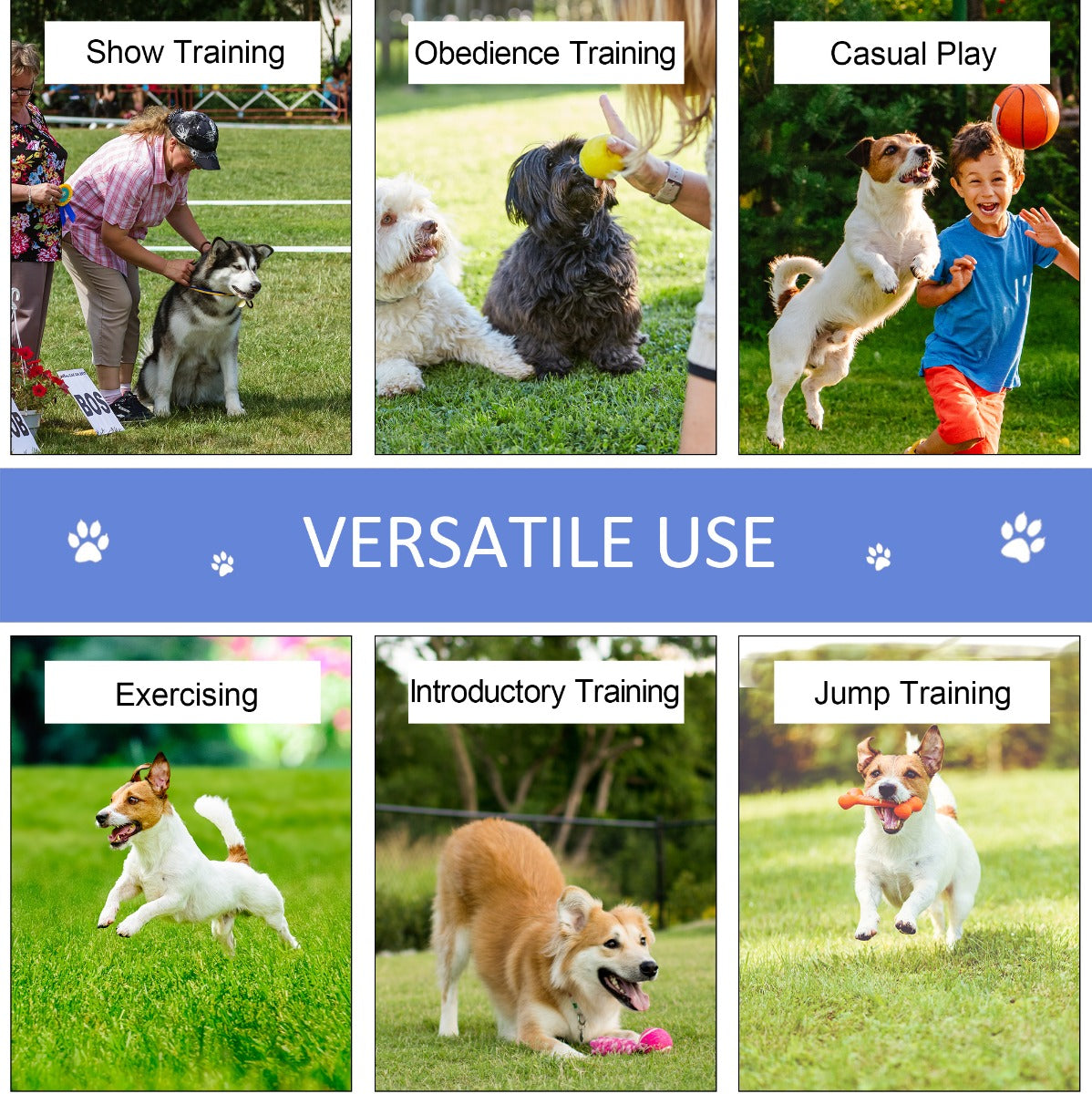 AgiliLoop portable dog agility set collage of training play scenes