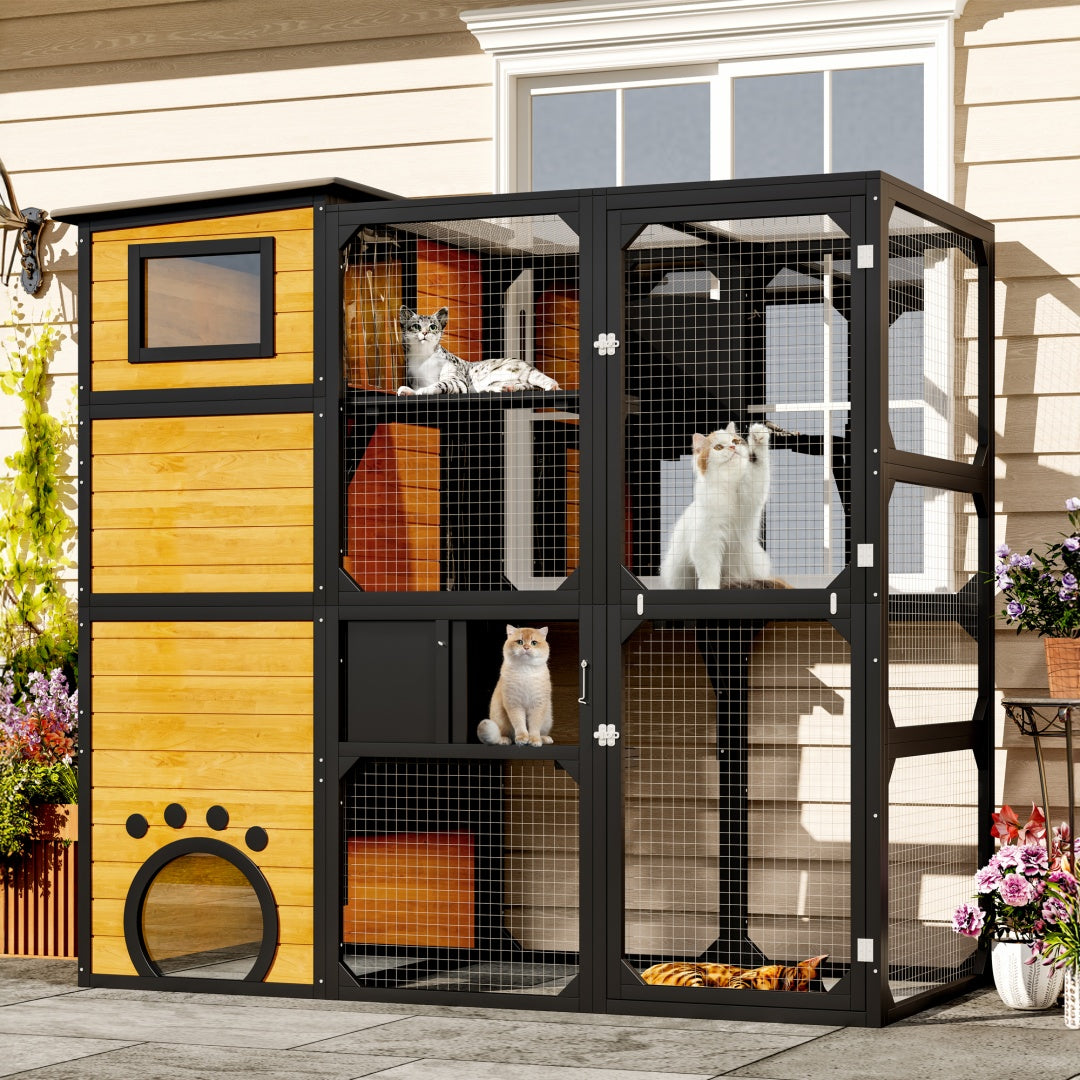 SunHaven Large 4-Tier Outdoor Cat Catio with black frame, yellow panels